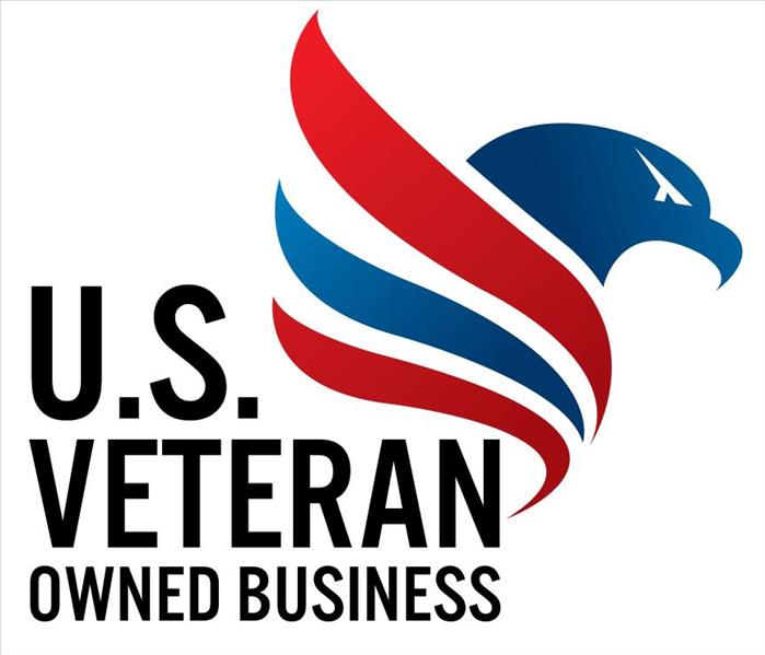 poster of u.s veteran owned business and an eagle