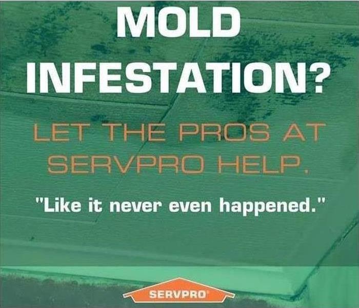 picture of a mold infestation poster