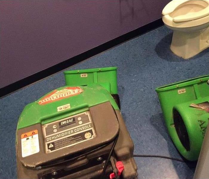 Picture of a dehumidifier and an air mover 